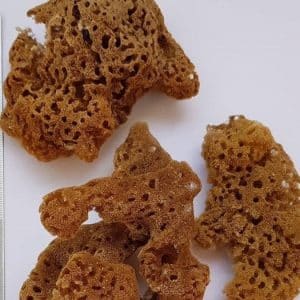 اسفنج دریایی توری طبیعی مناسب پتینه و دکور